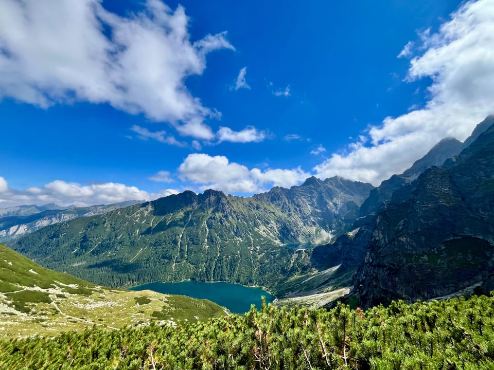 Week 45-53 | Summary - Rest, Learn, Refocus